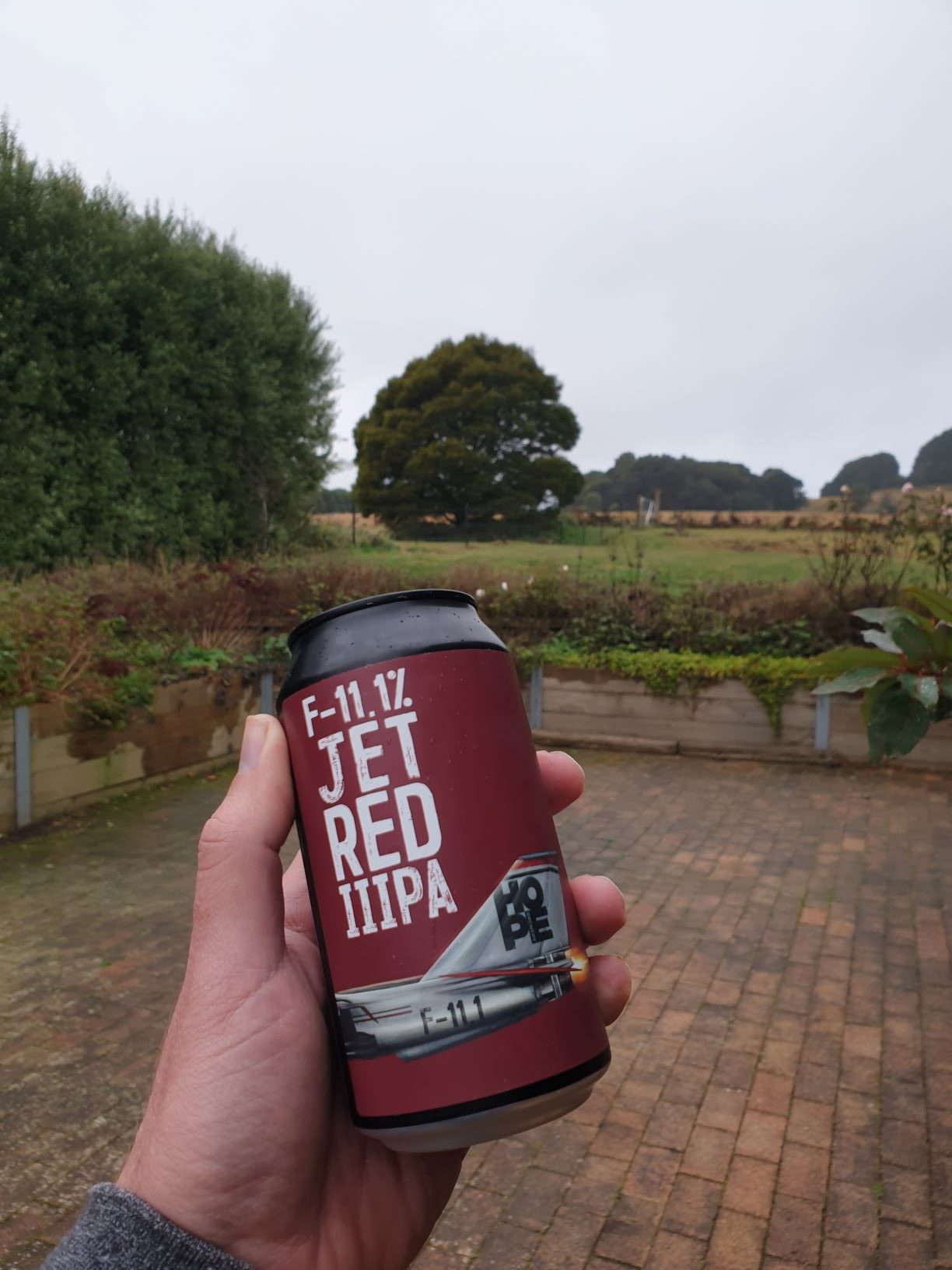 F-11.1% Jet Red IIIPA by Hope Brewery